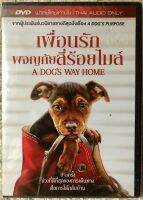 DVD A Dog’s Way Home. ดีวีดี เพื่อนรักผจญภัยสี่ร้อยไมล์ (แนวผจญภัยสำหรับครอบครัว) ( พากย์ไทย)แผ่นลิขสิทธิ์แท้มือ1 ใส่กล่อง (สุดคุ้มราคาประหยัด)