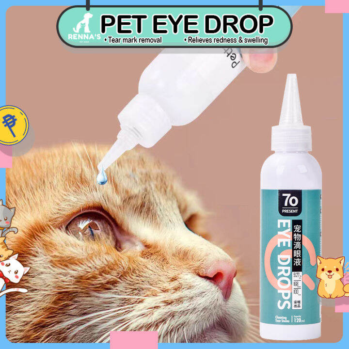 Renna's 120ml Eye Drops For Pets Cat and Dogs and Eye Infection Eye ...