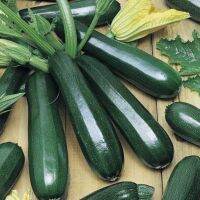 เมล็ดพันธุ์ ซูกินี เดอะฮัก (Zucchini) บรรจุ 10 เมล็ด ลูกยาวประมาณ 22 ซม.