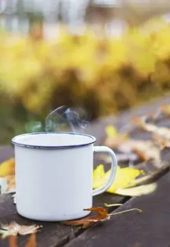 Jual Lv Louis Vuitton Tea Cup Coffee Cup Set Mug Cangkir Kopi