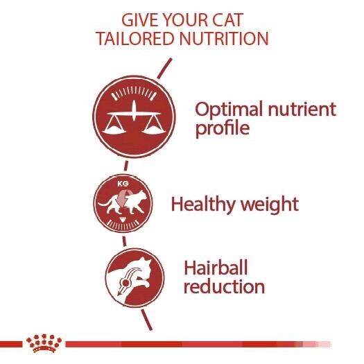 royal-canin-fit-2kg-อาหารเม็ด-แมว