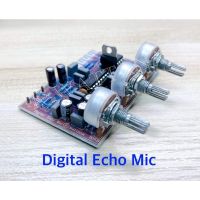 Digital Mic Echo งานอย่างดี