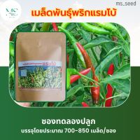 พริกแรมโบ้?️ซองทดลองปลูก พริกลูกดก เมล็ดพันธุ์พริกลูกผสม