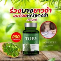 โทบี้ ฮอร์สเทล TOBY Horsetail