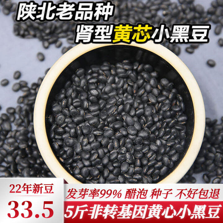 KidneyShaped Black Bean 2.50kg NonGM Farm SelfPlanted Black Soybean