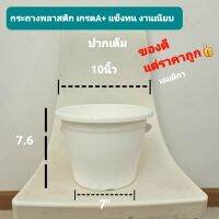 กระถางต้นไม้พลาสติก 10" กระถาง10นิ้ว ขาว  ราคาส่ง ราคาถูก พร้อมส่ง