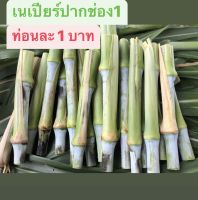 ท่อนพันธุ์หญ้าเนเปียร์ ปากช่อง1 (100 ท่อน)โตไว โปรตีนสูง ใบใหญ่