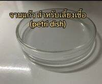 จานเลี้ยงเชื้อ เพลสแก้ว petridish สำหรับทำอาหารPDA (จำนวน 5 คู่)