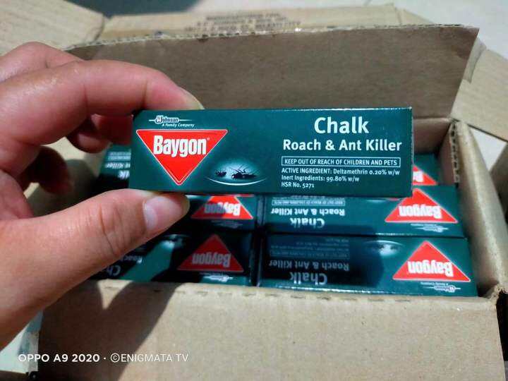 baygon chalk roach and ant killer 2 chalk inside | Lazada PH