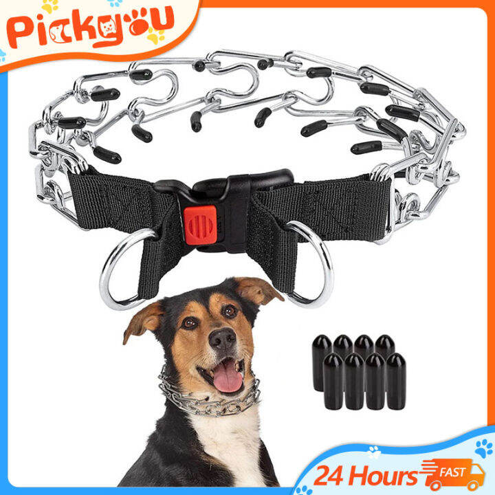 Medium prong collar sale