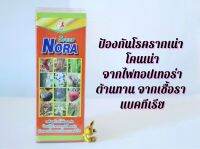 สารกำจัดโรคพืช รากเน่าโคนเน่า ที่เกิดจากเชื้อไฟทอปเทอร่า ฟอสฟอริค แอซิด ขนาด 1 ลิตร