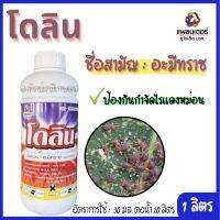 ลิน ชื่อสามัญ อะมีทราซ ป้องกันกำจัดไรแดง ขนาด 1 ลิตร