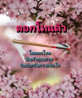 ตอกสั่นหนูถูกๆ(ตอกโทนติว)/ตอกโทน/ตอกสั่นหนู/สั่นหนู/เรียกหนู/หนูนา