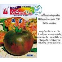 เมล็ดพันธุ์ มะเขือเทศ ลูกท้อ สีช็อคโกแลต Chocolate Tomato Seed สายพันธุ์ OP บรรจุ 200 เมล็ด