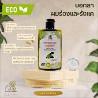 แชมพูมะกรูดเอสเซ้นส์ เฌอรักโฮม ลดผมร่วง ขจัดรังแค ขนาด 250 ml.