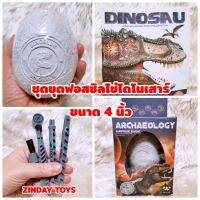 ชุดขุดฟอสซิลไข่ไดโนเสาร์​
Archaeology Surprise​ Each Dig A Dinosaur​ Skeleton

ขนาดใหญ่ 4 นิ้ว พร้อมอุปกรณ์​ 4 ชิ้น