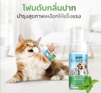 Gager​ Breath​ Oral​ mousse​โฟมดับกลิ่นปากสุนัข​ แมว​  50มล