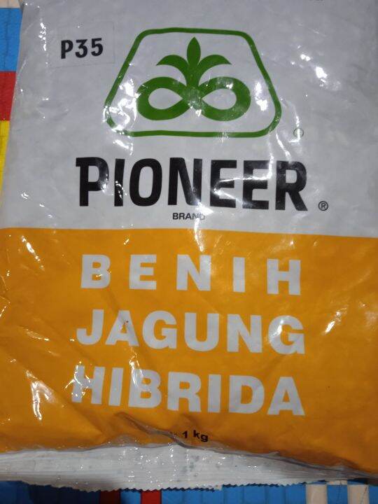 Benih Jagung Hibrida P35 Pioneer 1kg Kemasan Pabrik Lazada Indonesia