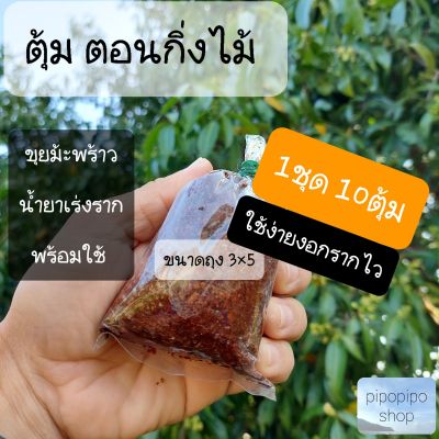 ตุ้มตอนกิ่ง  ตุ้มตอนกิ่งไม้ ตุ้มตอนกิ่งไม้ราคาถูก ตุ้มตอนกิ่ง ตุ้มตอนกิ่งไม้ ขนาด3×5  1ชุด 10ตุ้ม