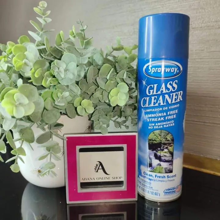 Sprayway Glass Cleaner 652g. Lazada PH