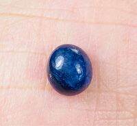 1.56cts 6.6x5.8มม . ไพลินสีน้ำเงินธรรมชาติหลังเบี้ย 1.56cts natural blue sapphire cabochon 6.6x5.8mm