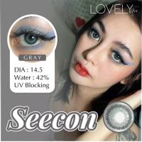 Seecon gray รุ่นเลนส์ขีดฟุ้ง สีเทาสายฝอ คม