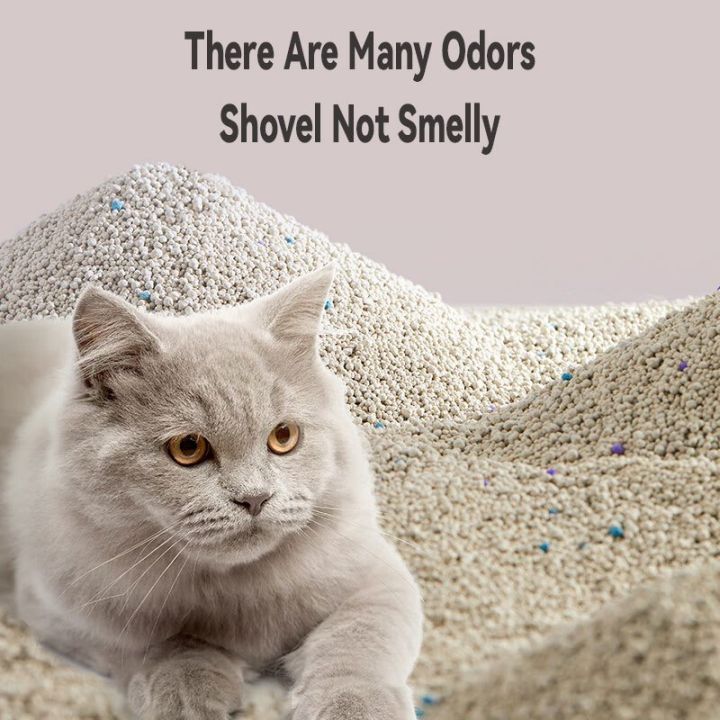 2kg Cat Litter Natural Bentonite Cat Litter Sand Eliminates Odor, Fast