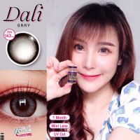 คอนแทคเลนส์ รุ่นDALI (gray,brown) บิ๊กอายตาหวานใส่ไปเรียนไปทำงานได้