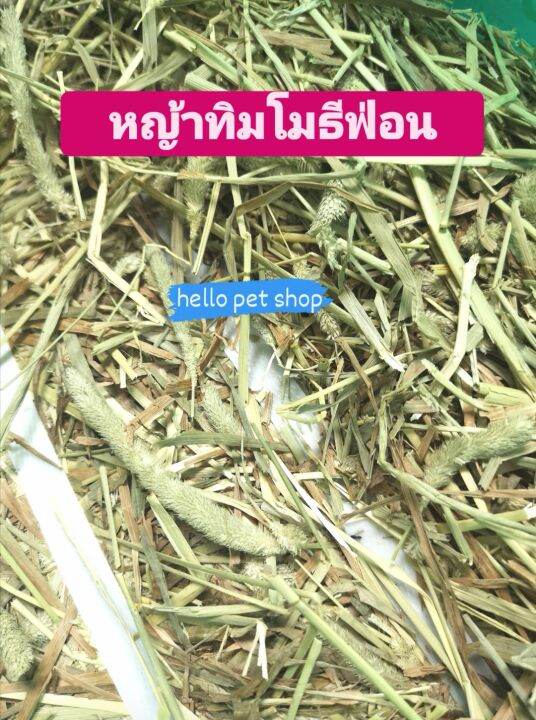 ยกฟ่อน-หญ้าwildloft-timothy-premium-ยกฟ่อน-ร่อนฝุ่นเกรดพรีเมียม-หญ้าทิมโมธียกฟ่อนขนาด-30-32-kg