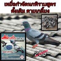 เหยื่อกำจัดนกพิราบ นกตัวเล็กๆ ขนาด20กรัม ออกฤทธิ์ช้า4-5วันกลับไปตายรัง หมดปัญหากวนใจอย่างแน่นอนสั่งเลยอย่ารอช้า!!