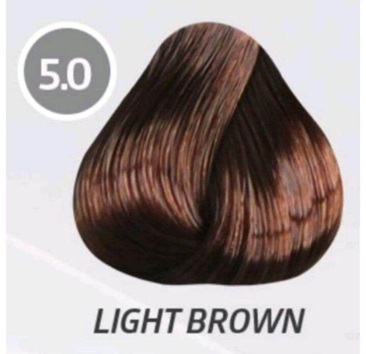 HBC Haircraft (5.0 Light Brown) Hair Coloring Cream Lazada PH