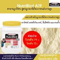 Nutribird A19 สูตรโปรตีนไขมันสูง สำหรับนก มาคอร์ แอฟริกันเกร์ อีเล็คตรัส บรรจุ 800 กรัม