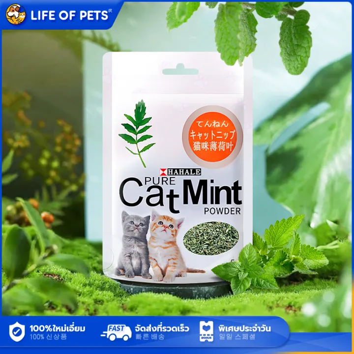 ผงแคทนิป 5g Catnip แคทนิปกัญชาแมว แคทนิป กัญชาแมว Cat Mint ราคาถูก กัญชาแมว ช่วยขับถ่ายขน ผงแคทนิป พร้อมส่งในประเทศไทย