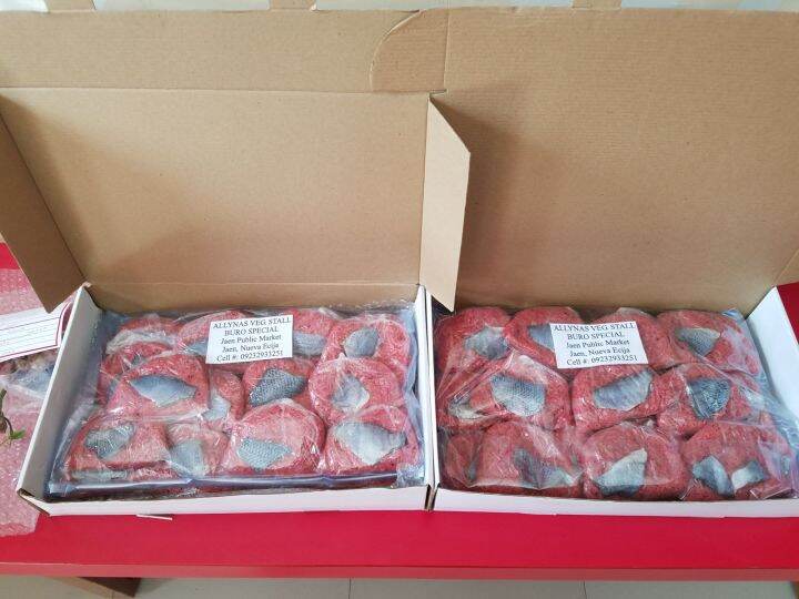 Burong Isda 10 Packs Hilaw Lazada PH