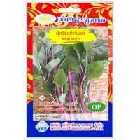 เมล็ดพันธุ์ ผักโขมก้านแดง (Amaranth) บรรจุ 3 กรัม ความงอก 85%