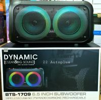 Bts-1709
Dynamic
Clear &amp; Big Sound
6.5 inch Subwoofer
Wireless
Usb
Fm Radio
Karaoke
Rechargeable