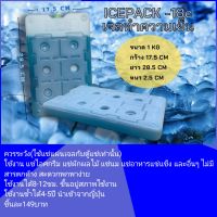 Ice Pack เจลเก็บความเย็น -18C 1000กรัม