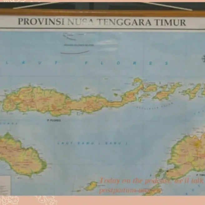 PETA NUSA TENGGARA TIMUR BINGKAI , PETA NTT | Lazada Indonesia