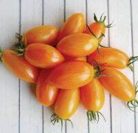 เมล็ดพันธุ์มะเขือเทศเชอร์รี่ บลัช ไทเกอร์ (Blush Tiger Cherry Tomato Seed) บรรจุ 15 เมล็ด ของแท้ คุณภาพดี ราคาถูก นำเข้าจากต่างประเทศ