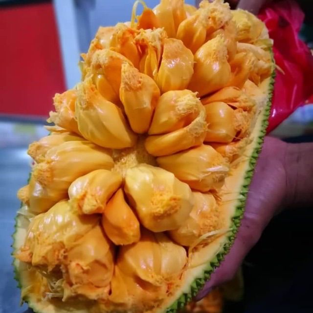 buah cempedak