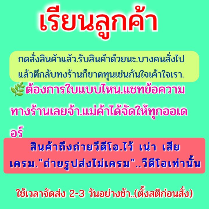 ใบกระท่อม-1กิโล-ใบรวม-ถูกสุดๆ-เก็บสด-พร้อมส่ง