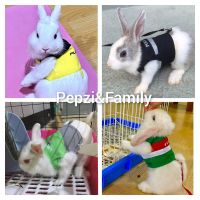 [[[ Pepzi&amp;Family ]]] เสื้อพร้อมสายจูง กระต่าย พร้อมส่งมีมุกไซร์​