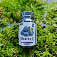 AuswelllifeBilberry?(พร้อมส่ง)ของแท้100% ปวดตาตาแห้งเพิ่มน้ำหล่อเลี้ยงดวงตา 1กระปุก ขนาด 30 แคปซูล