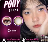 Pony pola brown รุ่นน้ำตาล ตาฉ่ำ ขนาดโตกว่าตา ลายฮิต?คละแบรนด์