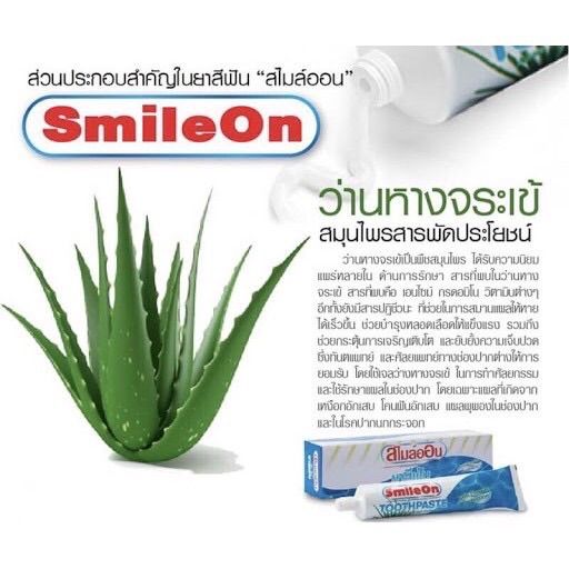 1-หลอด-ยาสีฟันสไมล์ออน-smileon-250grams-แท้100