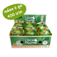 กล่อง 6 ลูก: โคโค ทัมบ์ Coco Thumb มะพร้าวน้ำหอม พร้อมดื่ม มะพร้าวน้ำหอมลูกสดๆ พร้อมดื่ม