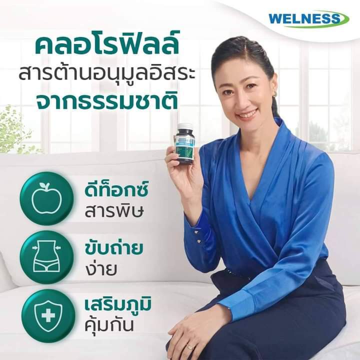 wellness-สาหร่ายสไรูลิน่าเพื่อสุขภาพจำนวน100เม็ด