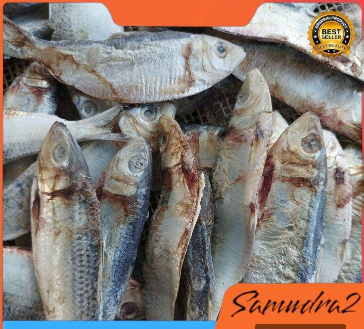 Ikan Asin Tembang Sisik Kaca 1kg Lazada Indonesia