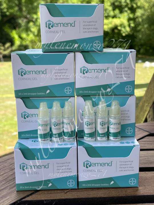 REMEND CORNEAL EYE GEL Lazada PH