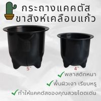 กระถางแคคตัสขาสิงห์เคลือบแก้ว  4นิ้ว และ 5นิ้ว